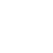 Experiência Técnica