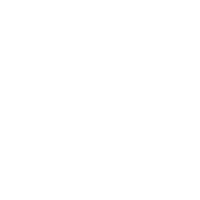 Laudos Periciais e Pareceres Técnicos